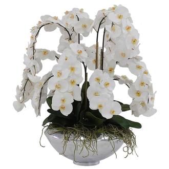 Jericho White Flower Arrangement