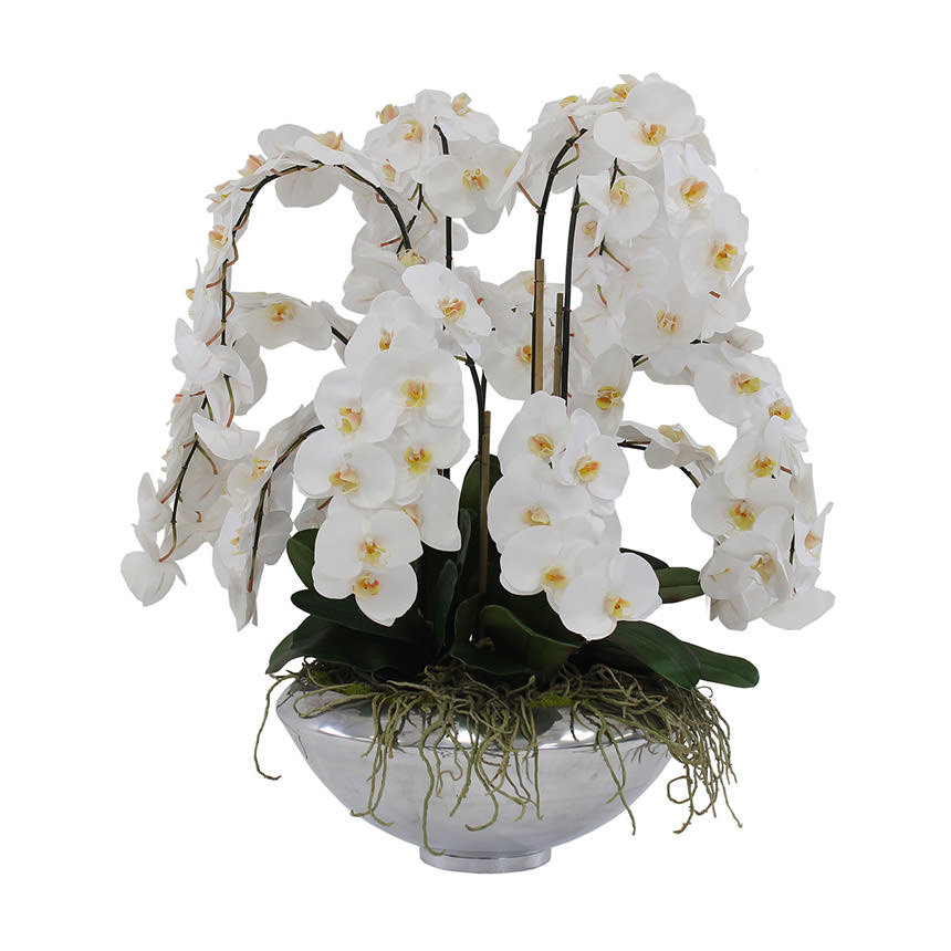 Jericho White Flower Arrangement  main image, 1 of 4 images.