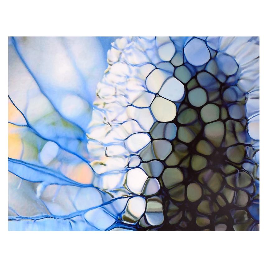 Eisdistel Acrylic Wall Art El Dorado Furniture