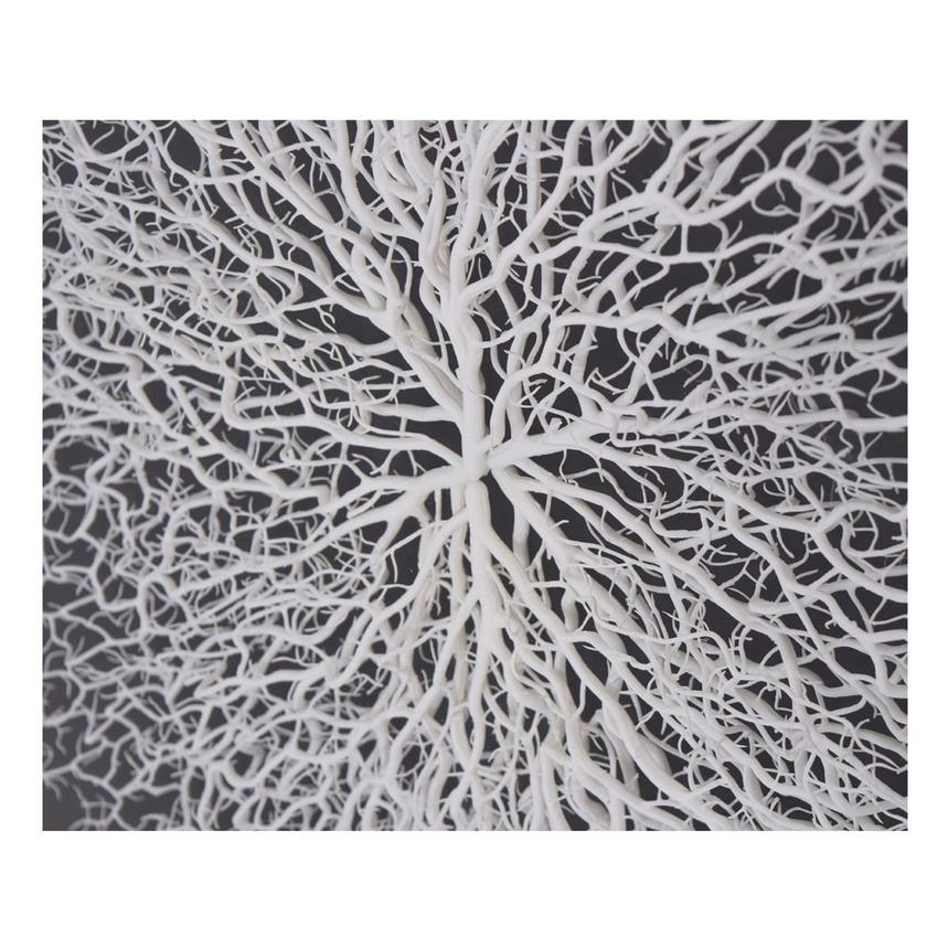 Clear Sea Fan Shadow Box  alternate image, 5 of 6 images.