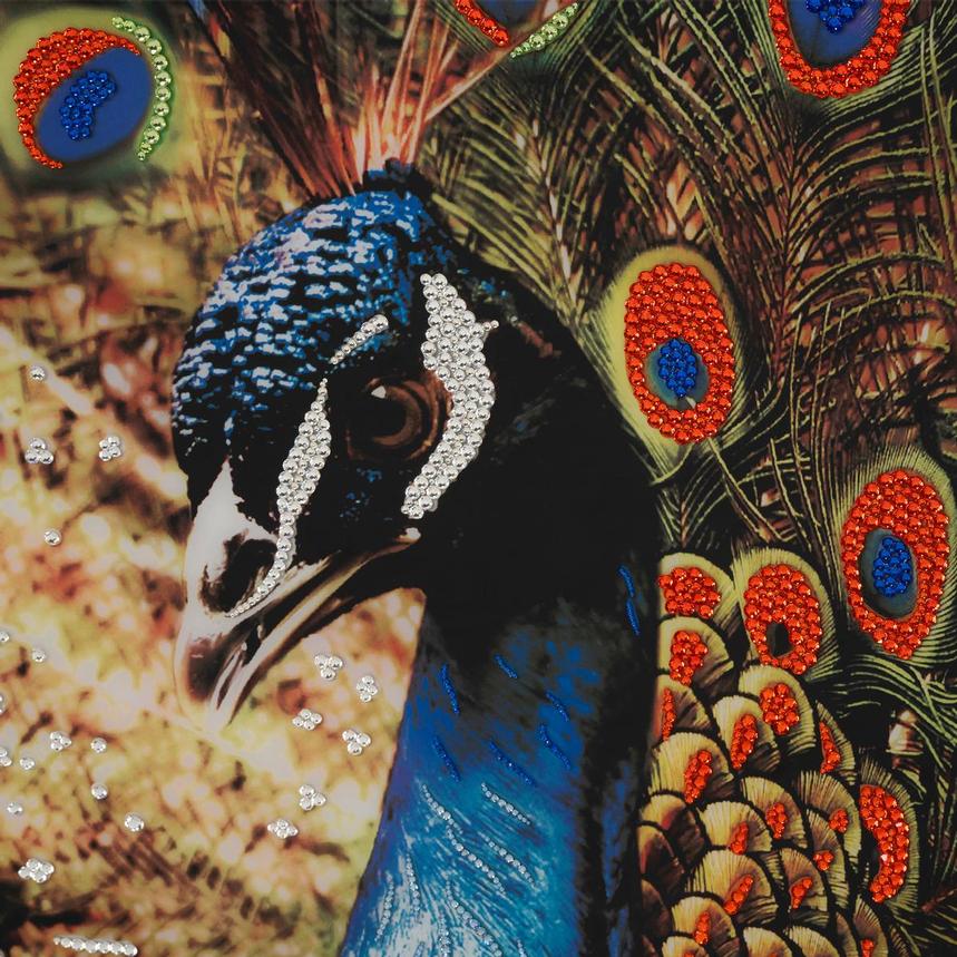 Peacock Wall Art  alternate image, 7 of 7 images.