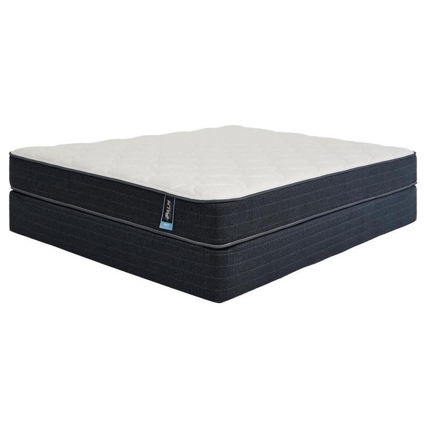 Bay Twin Mattress w/Regular Foundation by Palm  alternate image, 2 of 5 images.