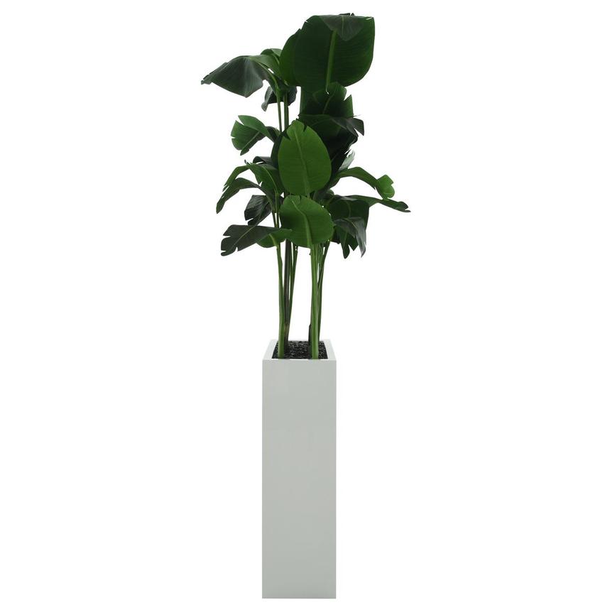 Kalei Planter alternate image, 4 of 6 images.