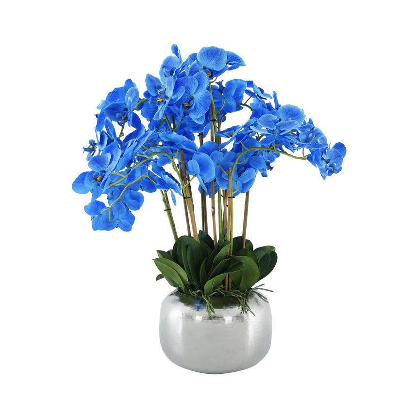 Blue Sweetness Flower Arrangement  main image, 1 of 3 images.