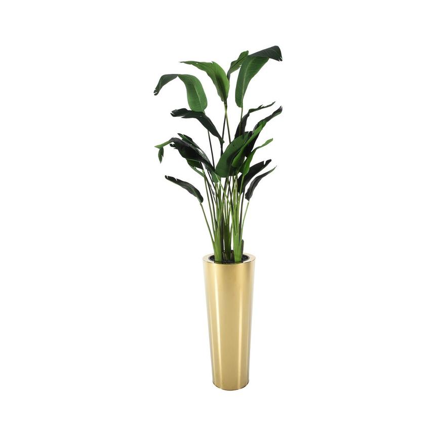 Oro Puro Planter  main image, 1 of 4 images.