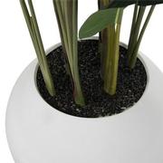 Zaya Planter  alternate image, 4 of 5 images.