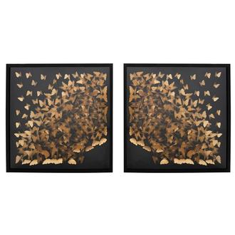 Metamorphosis Shadow Box Set of 2