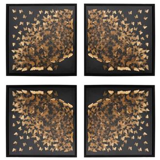 Metamorphosis Shadow Box Set of 4