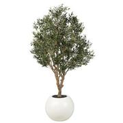 Antakya White Planter  main image, 1 of 7 images.
