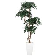 Maacah Planter  alternate image, 2 of 6 images.