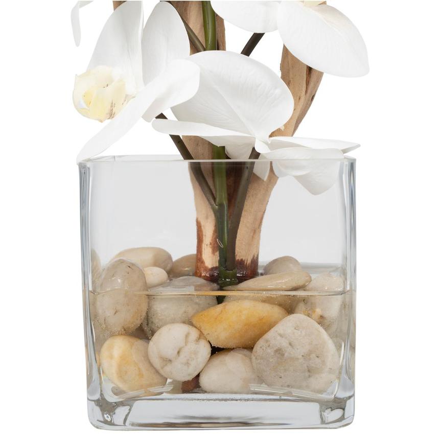 Agatha Plant  alternate image, 4 of 6 images.