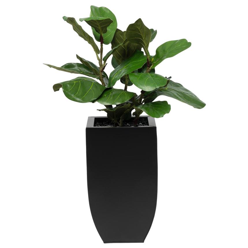 Wumple Plant  alternate image, 2 of 5 images.