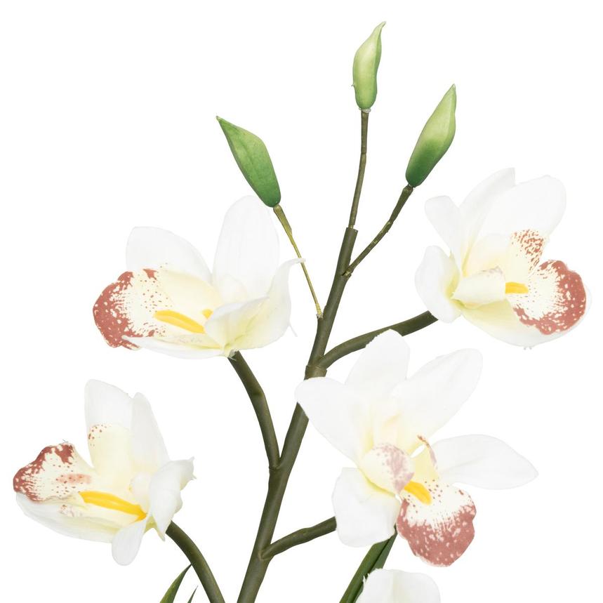 Savannah Noir Flower Arrangement  alternate image, 12 of 14 images.