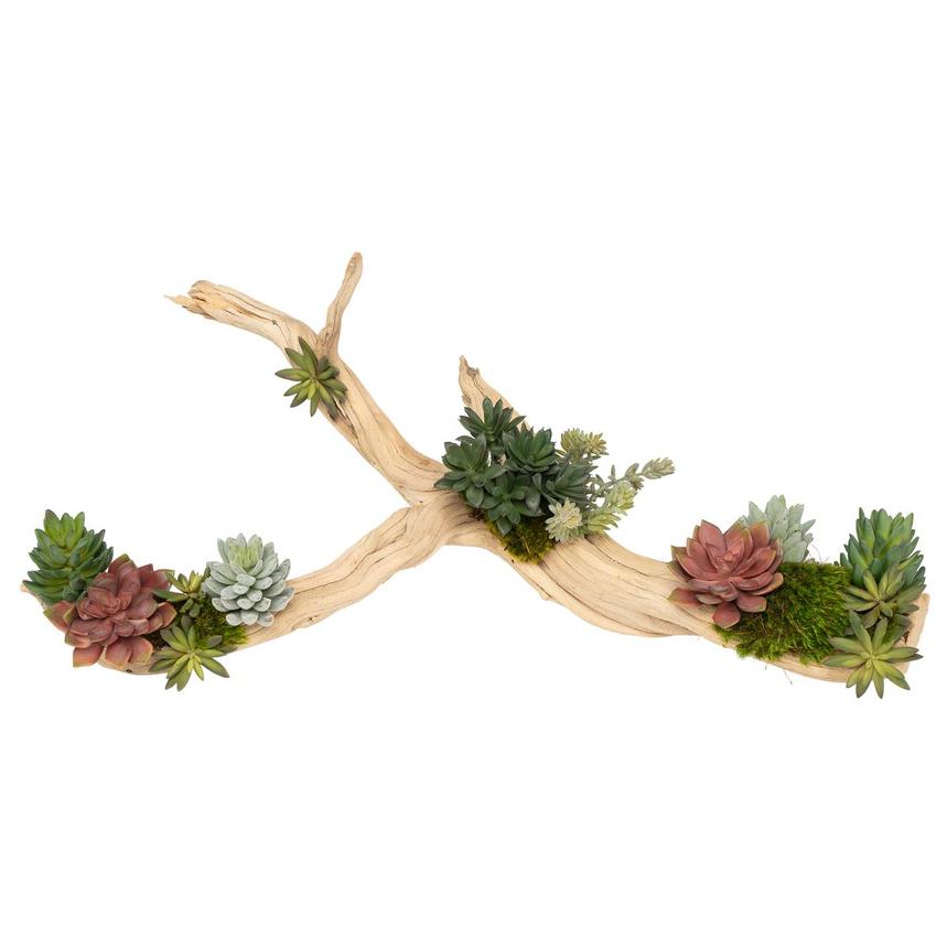 Kutuk Plant  alternate image, 2 of 9 images.