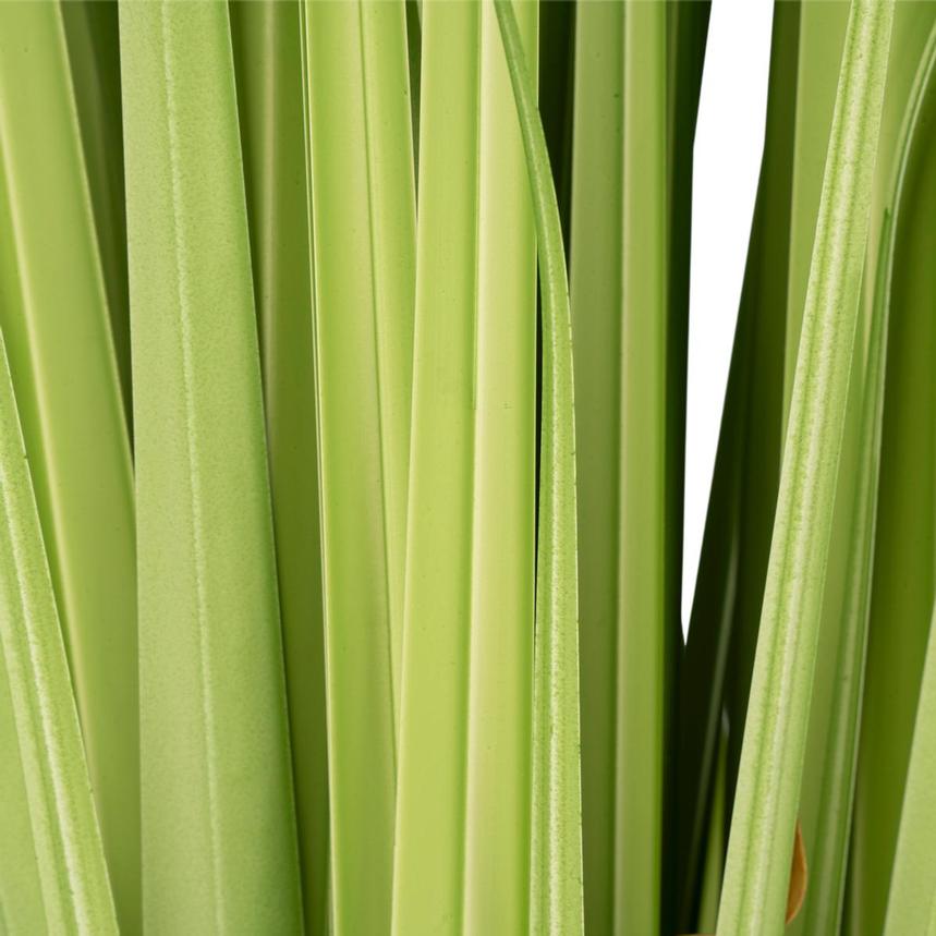 Bonaroo Planter  alternate image, 7 of 8 images.