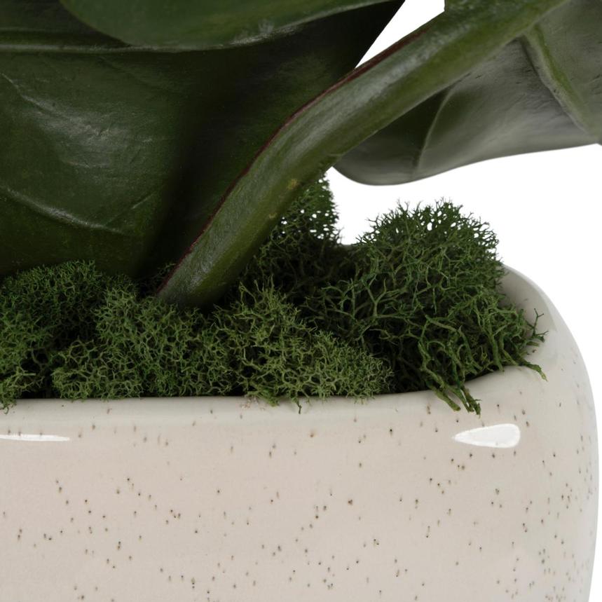 D'Orchid Flower Arrangement  alternate image, 7 of 10 images.