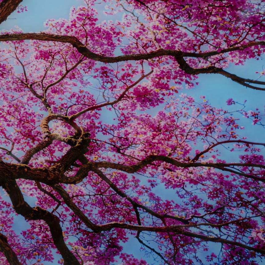 Blossom Cascade Acrylic Wall Art  alternate image, 5 of 5 images.