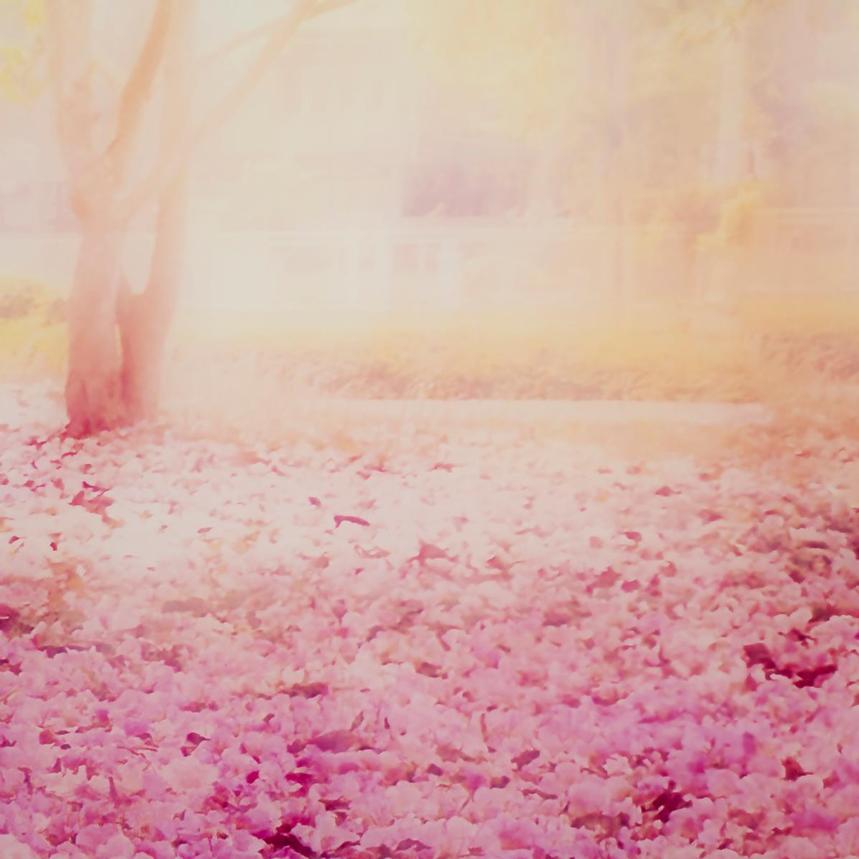 Pink Meadow Acrylic Wall Art  alternate image, 5 of 6 images.