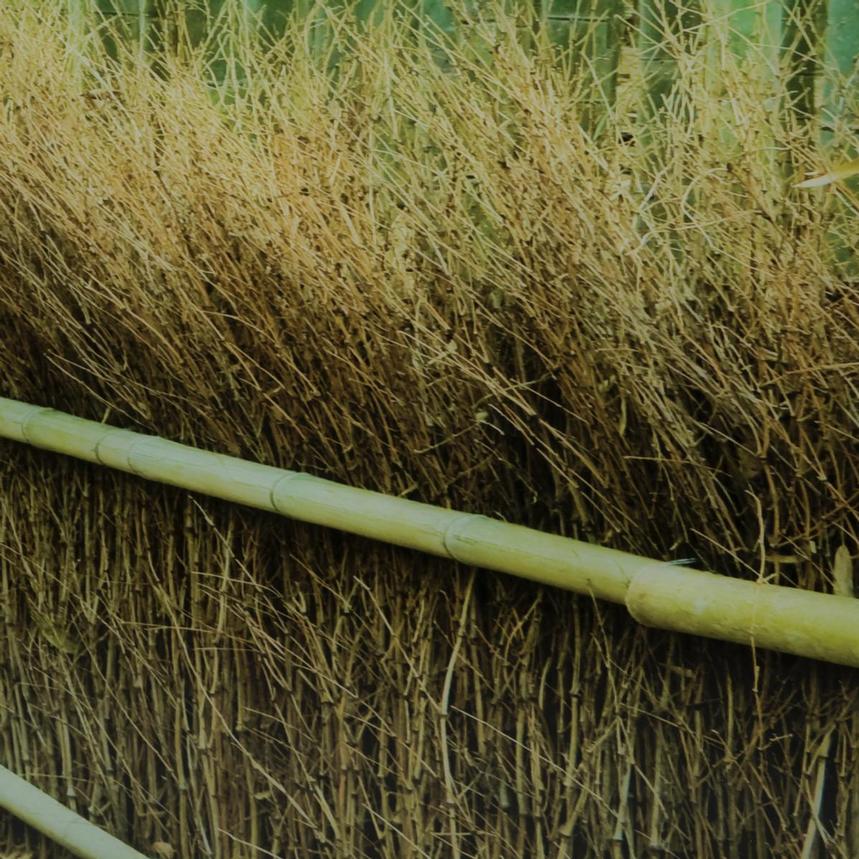 Bamboo Path Acrylic Wall Art alternate image, 5 of 6 images.