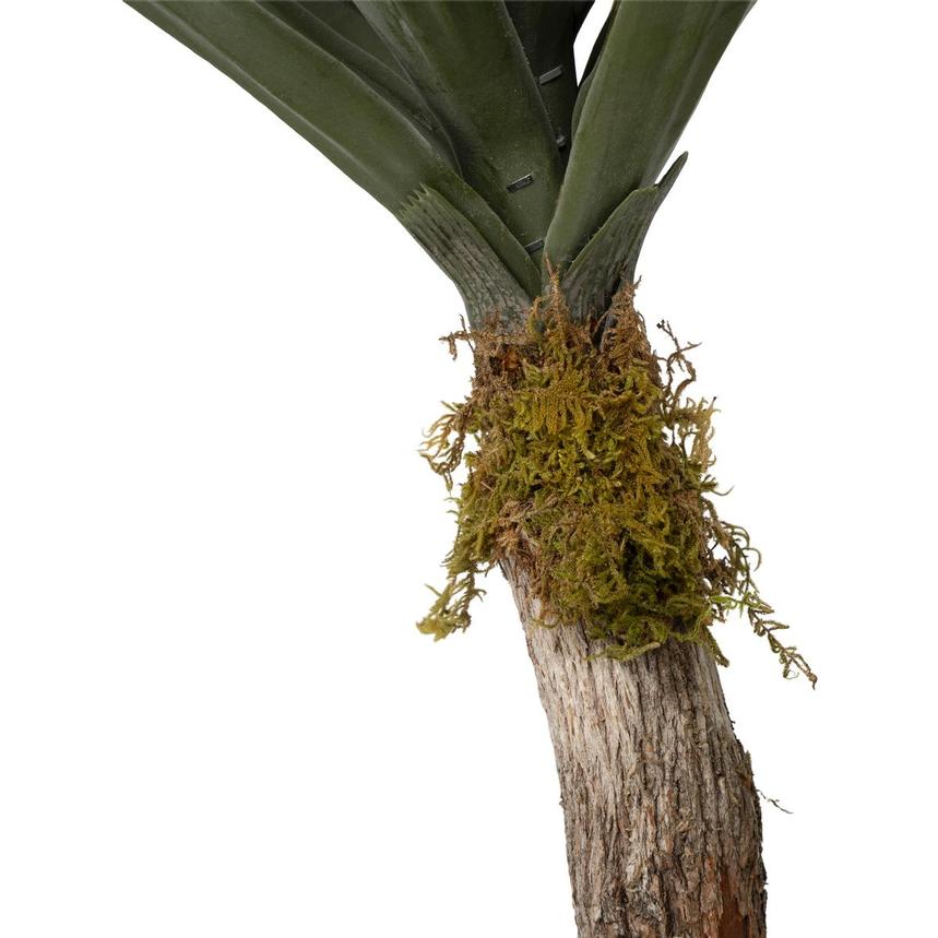 Ligia Planter alternate image, 5 of 9 images.